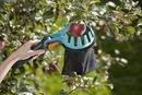 Zrywaczka i zbieraczka do owoców znacznie odciąży kręgosłup podczas prac ogrodowych 